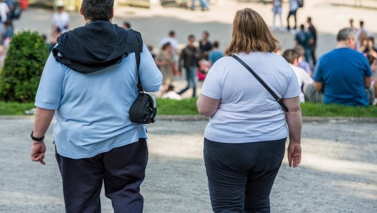 Analizan preferencias alimenticias registradas en el cerebro para disminuir la obesidad