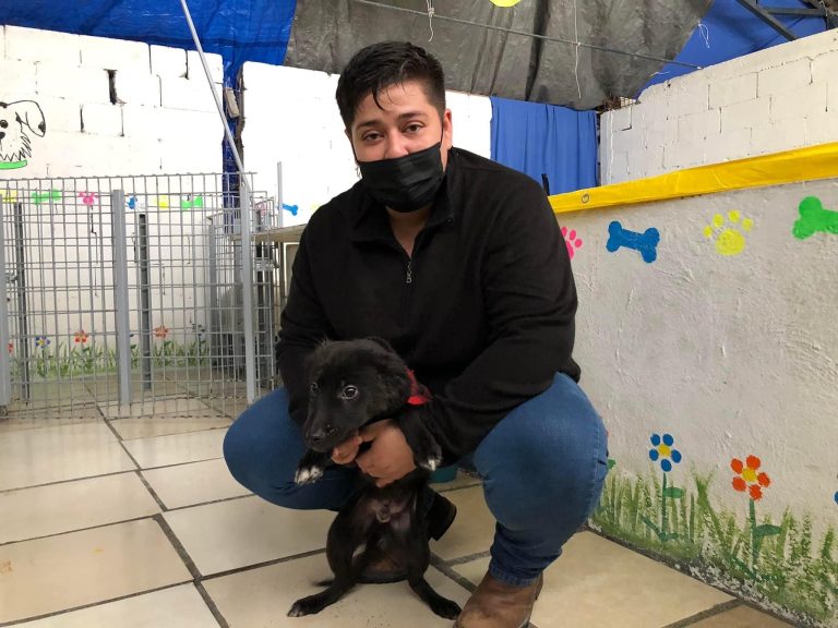 ‘Mi Mascota’ prepara brigadas de salud en zona rural para atención a animales de compañía 