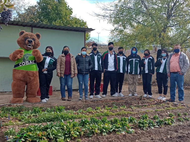 Promueve COBAC Teresitas instalación de huertos en hogares