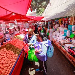 MEXICO-CIUDAD DE MEXICO-VIDA COTIDIANA