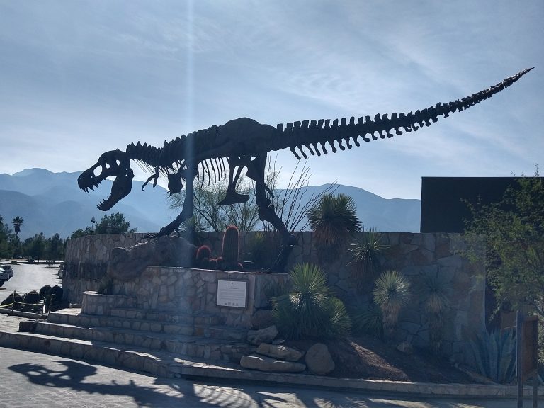 Toman museos de Saltillo previsiones, ante incremento de casos de Covid