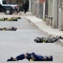 4abfbb05-8e3b-4564-a88d-e99bcd80abf9