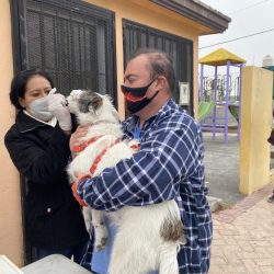 En colonia Santa María desparasitan y aplican vacuna antirrábica a más de 100 mascotas 