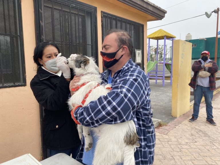 En colonia Santa María desparasitan y aplican vacuna antirrábica a más de 100 mascotas 