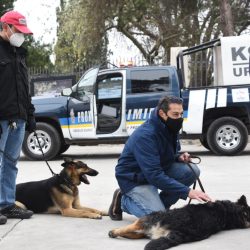 Llevan saltillenses mascotas al curso de Adiestramiento Civil Canino