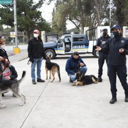 Llevan saltillenses mascotas al curso de Adiestramiento Civil Canino6