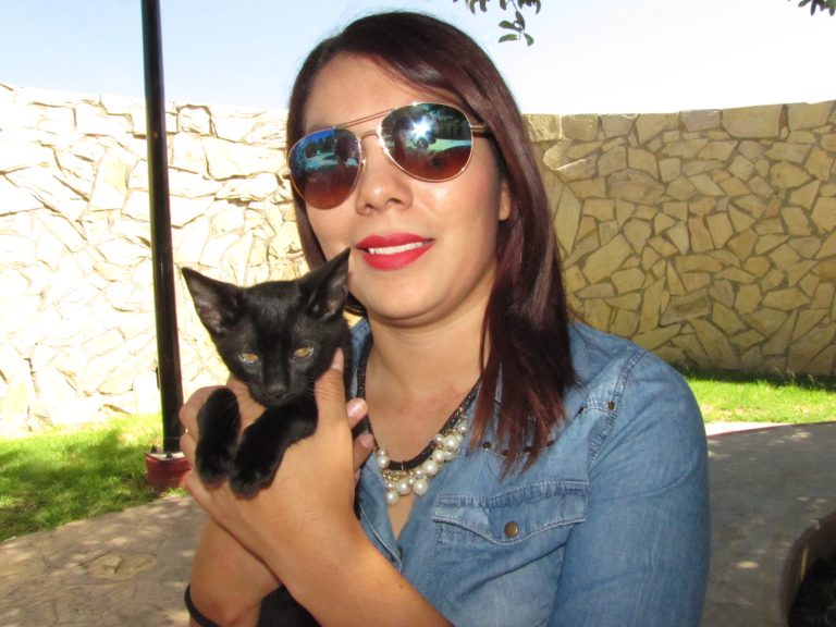 Habrá este miércoles 23 de febrero esterilización de gatos al 2 x 1 en el MUSAVE