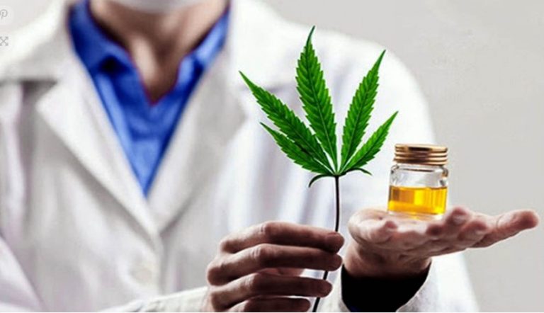 Organizan diplomado en línea sobre uso medicinal de cannabis con perspectiva científica integral