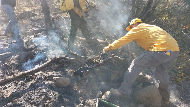 ¡Alerta! Temporada de incendios se extendería hasta junio en Coahuila