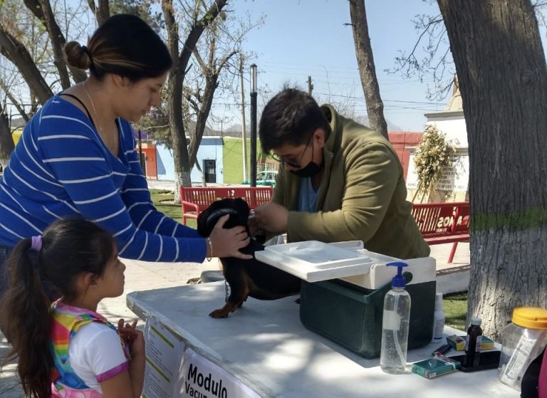 Con brigada de vacunación y esterilización atienden a mascotas en La Esmeralda 