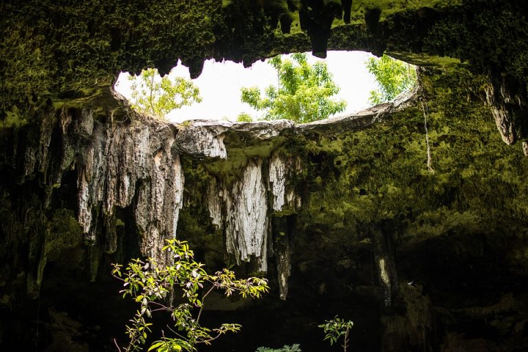 El nuevo trazo del Tren Maya amenaza los cenotes de Quintana Roo: peligran ríos subterráneos, especies y el Mar Caribe