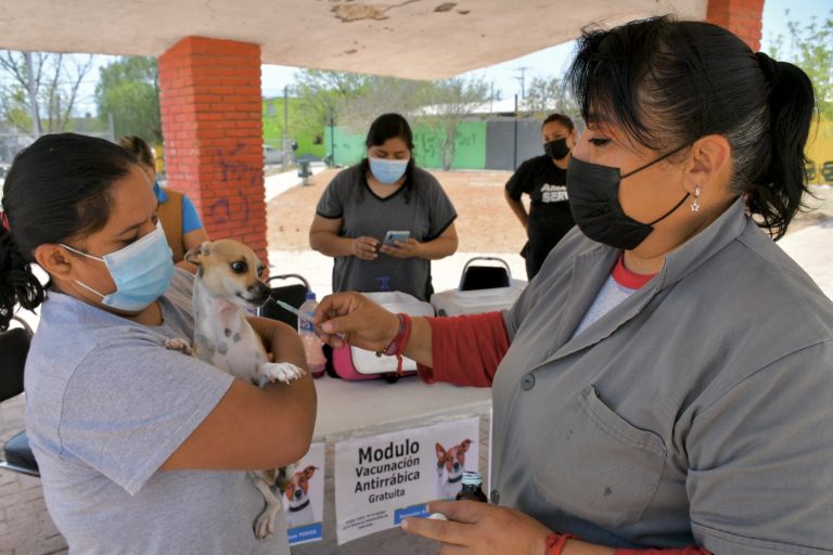 Familias en Blanca Esthela responden a campaña de vacunación antirrábica y desparasitación