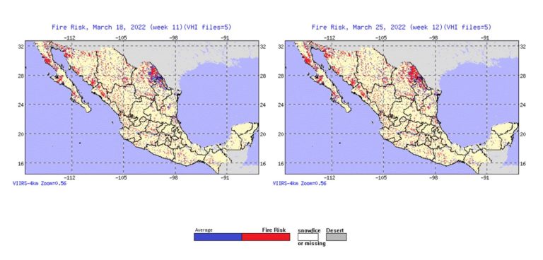 Sequía y calor ponen a Coahuila como zona de alto riesgo para incendios