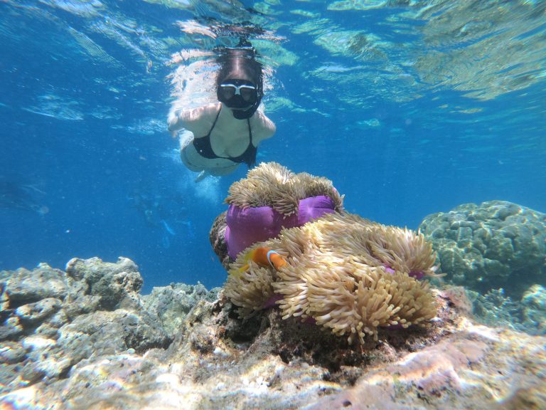 Snorkeling en México: más allá de donde llegan los ojos