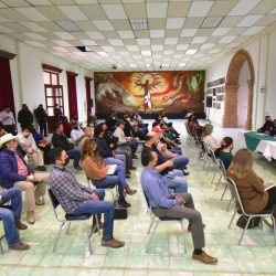 van contra los fraudes 5