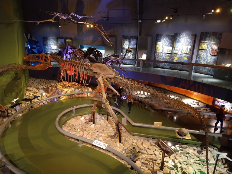 Inicia este lunes temporada vacacional 2022 del Museo del Desierto