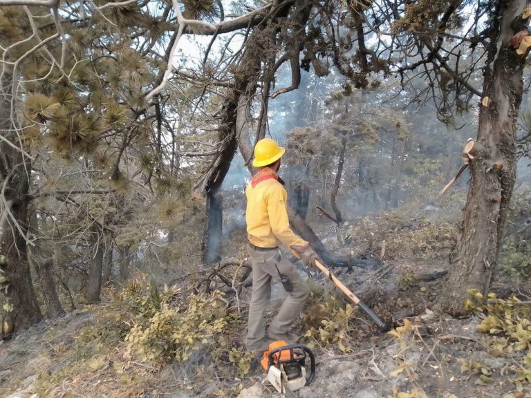 Siguen activos cinco incendios en Coahuila; dos en Saltillo