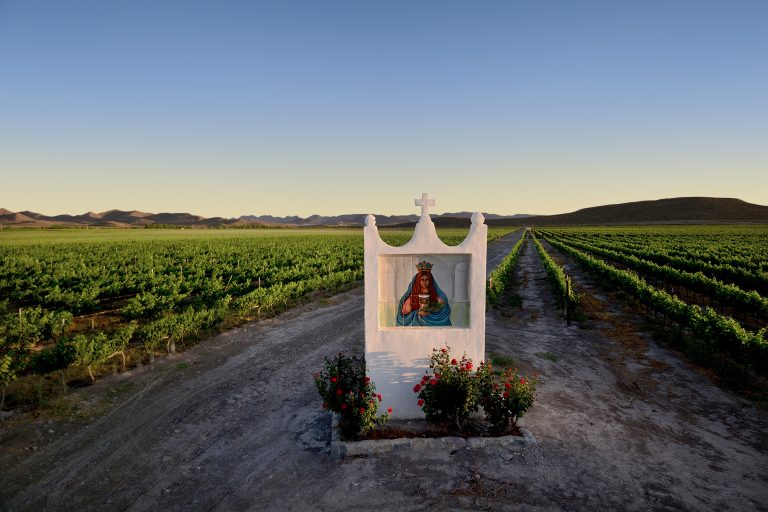 Elementos de Seguridad Pública resguardan instalaciones de Casa Madero