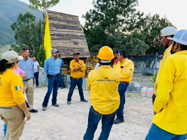 Atención oportuna controla incendio forestal en la Escondida