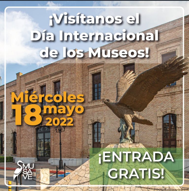 Habrá este miércoles acceso gratuito al MUSAVE por el Día Internacional de los Museos
