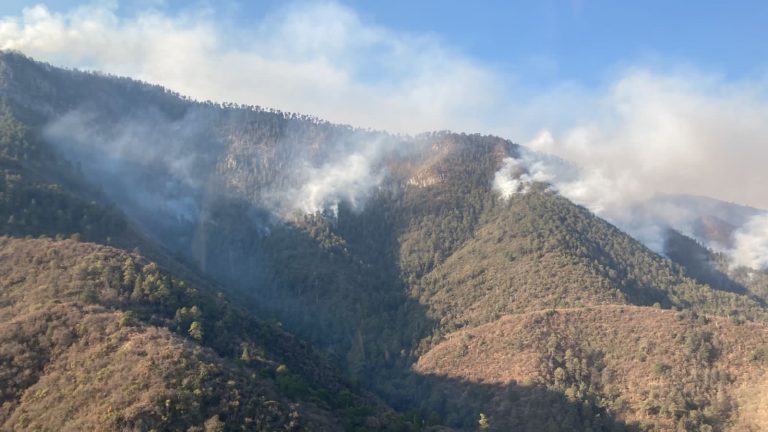 Hay 9 incendios activos en Coahuila: SMA