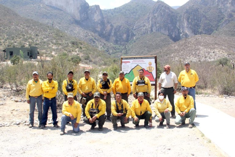 Incendios forestales de la Región Sureste de Coahuila están controlados y liquidados