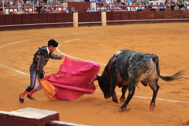 Juez suspende corridas de toros en la Plaza México