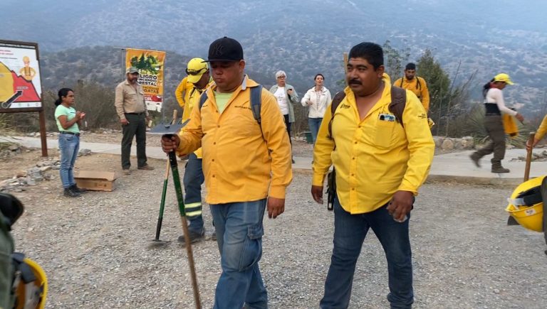 Liquidados 3 incendios forestales en Coahuila