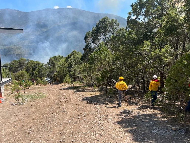 Presumen haya sido provocado incendio en Los Lirios