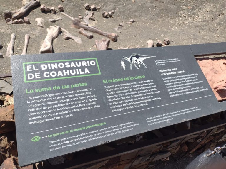 Rincón Colorado: testigo de dinosaurios y lugar de su descubrimiento 