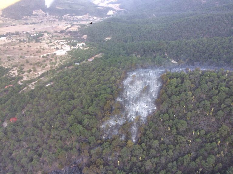 Deben cerrar 20 años áreas afectadas por incendios forestales