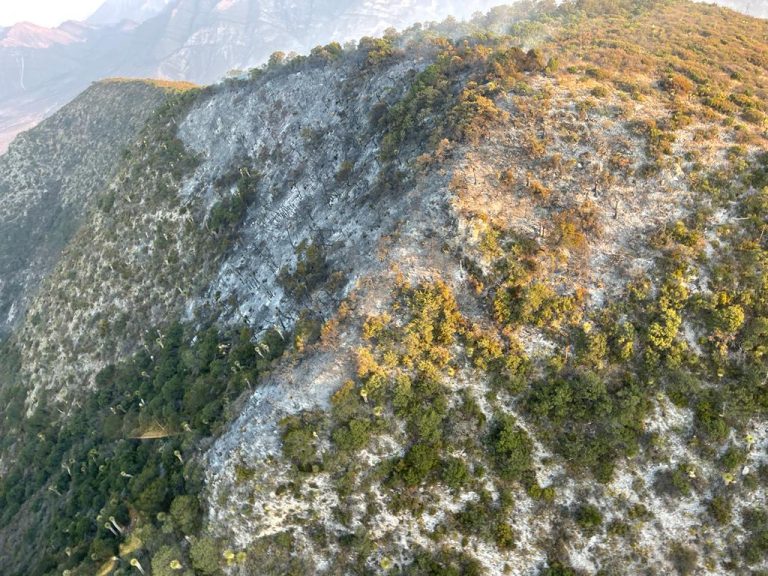 Apoyan brigadistas de Coahuila en incendio en el Cañón del Infiernillo, en los límites con Nuevo León