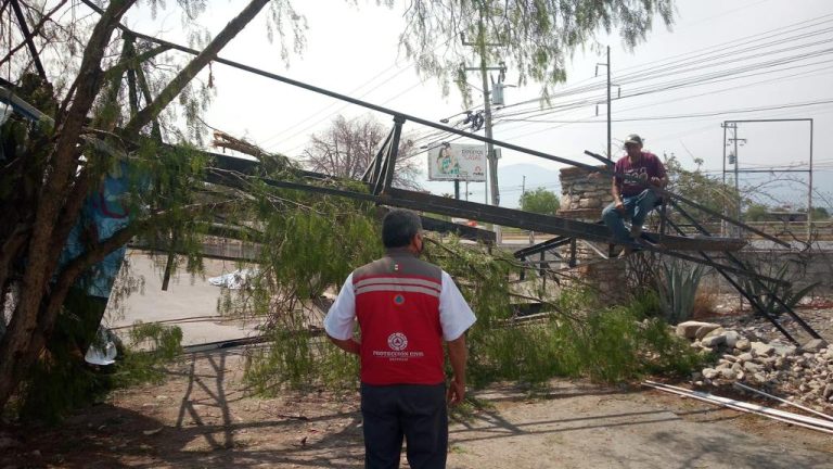 Atiende Protección Civil reportes ante fuertes vientos   