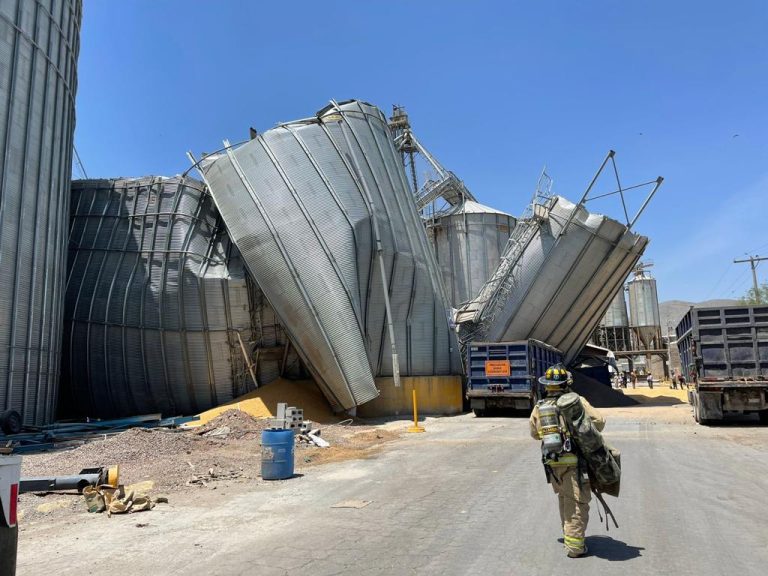 Colapsan silos de maíz en Torreón; dos personas lesionadas y una sin localizar