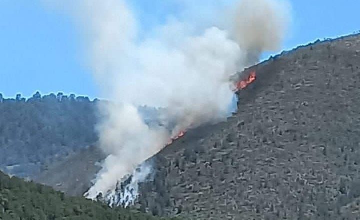 Combaten incendio en Carbonera