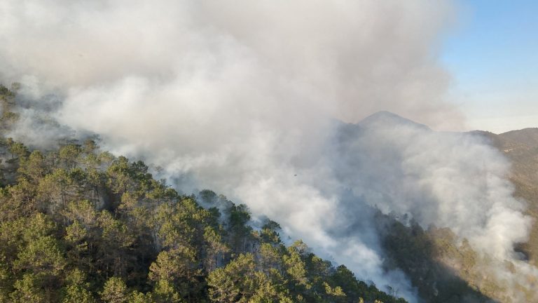 Continúa el combate a los incendios forestales de Saltillo y Arteaga