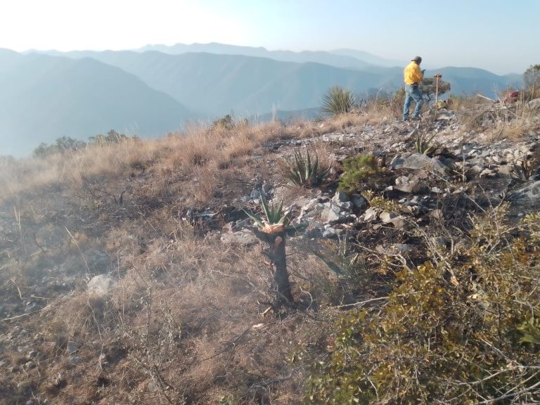 Controlado el 70% del incendio forestal en El Infiernillo