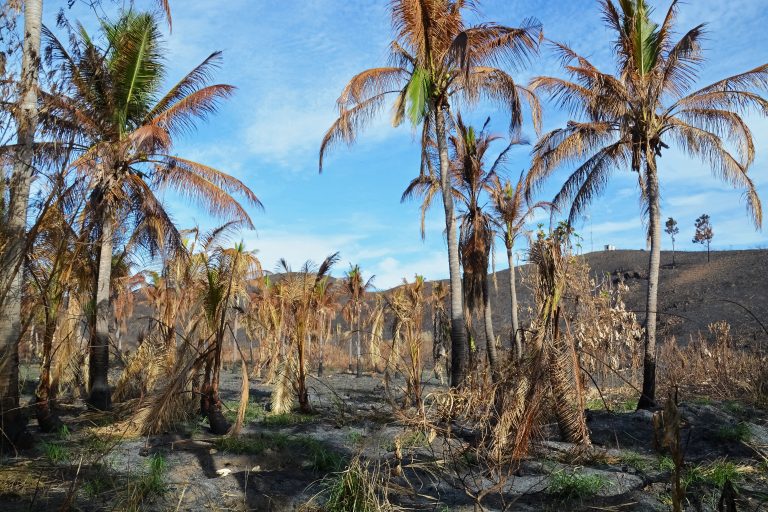 El cambio climático volvió a batir récords por tierra, mar y aire en 2021