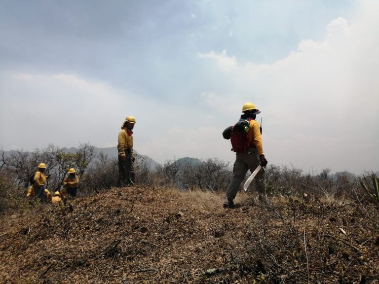 A pesar de la lluvia, incendio en Cuauhtémoc-Sierra Hermosa continúa activo