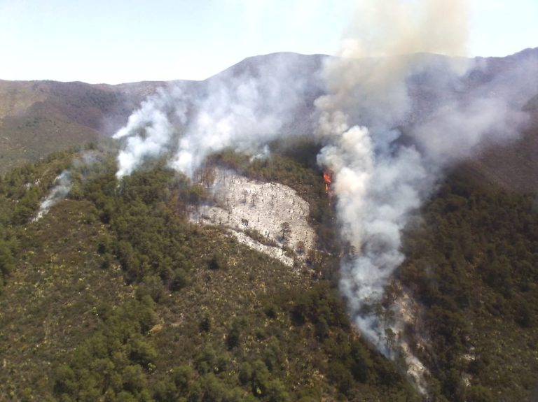 Incendio en Zapalinamé alcanza al Cañón de San Lorenzo; cierran acceso a visitantes