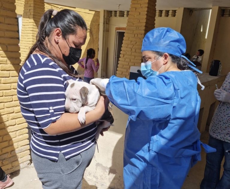 ‘Mi Mascota’ alista jornada de vacunación antirrábica y desparasitación en zona rural