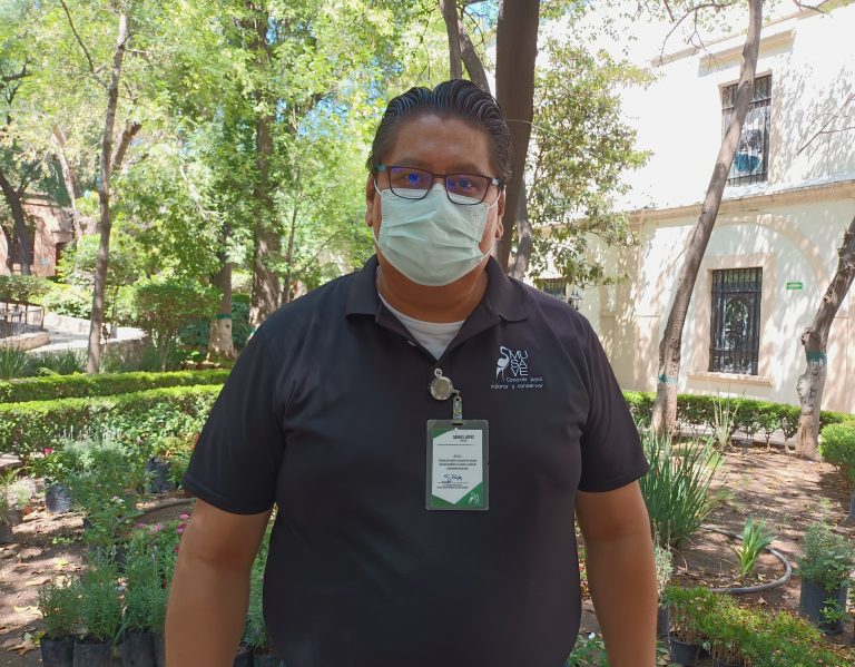 Incendios forestales ponen en riesgo a la cotorra serrana   