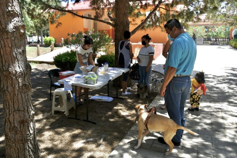 Saltillenses responden a llamado para la atención de mascotas 