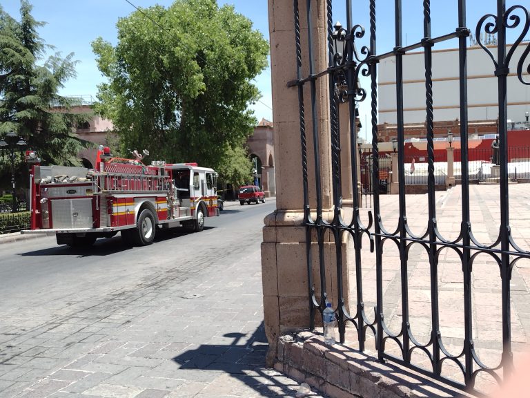 Suspenden celebraciones religiosas en Catedral por ataque de abejas a transeúntes