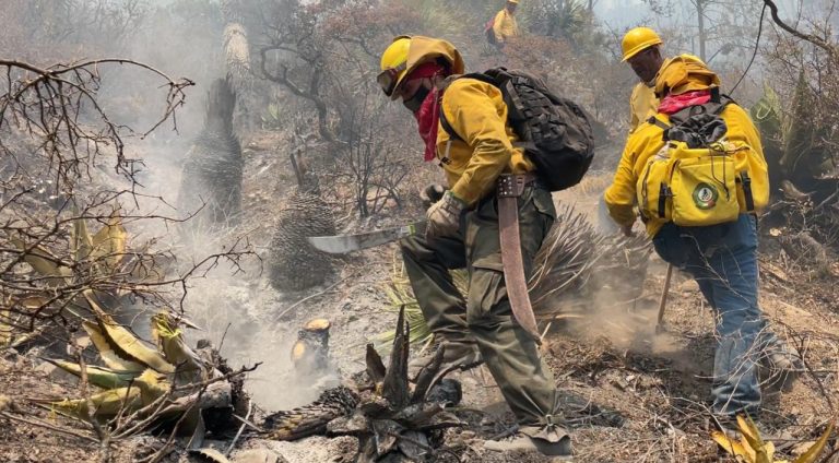Van 35 incendios por causas humanas en Coahuila