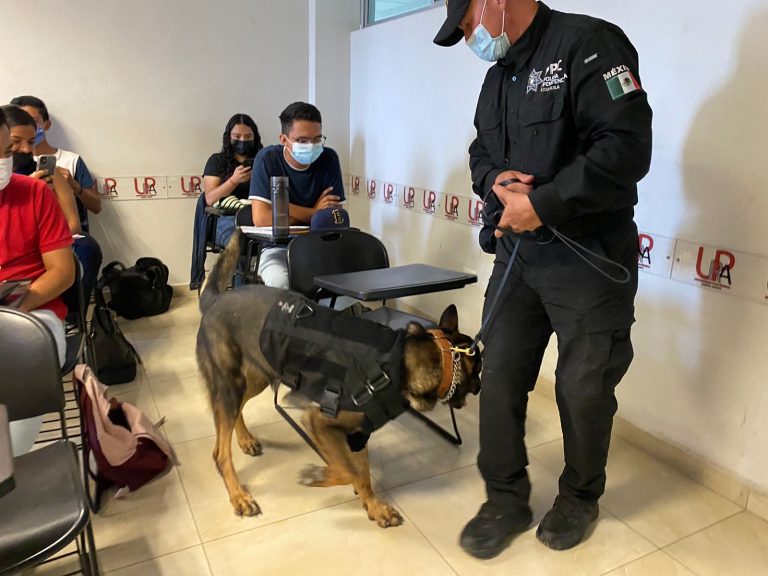 Con unidades caninas, buscan drogas y armas en la UPRA   