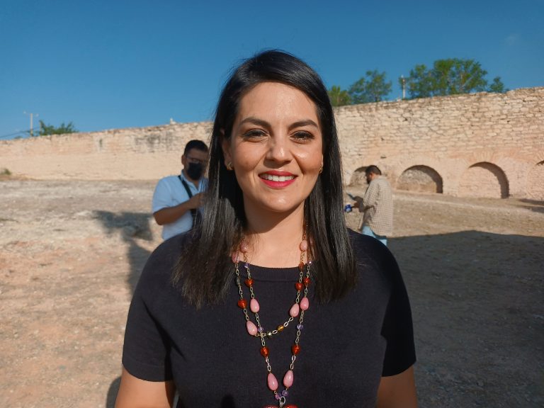 Corren riesgo pacientes psiquiátricos y sus familias por cierre de instituciones para su tratamiento; asegura diputada