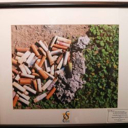 inauguran la exposición 5