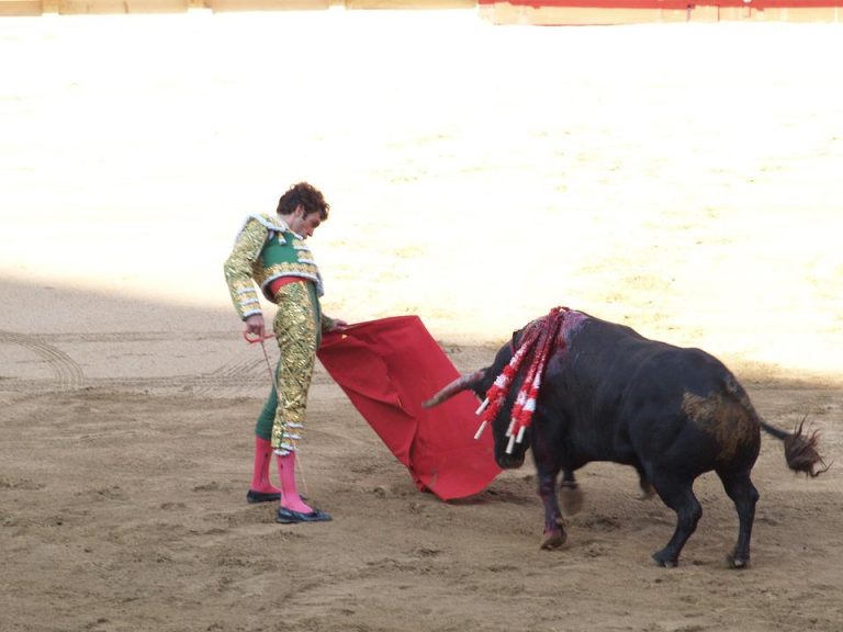 Rechaza SCJN proteger la tauromaquia 