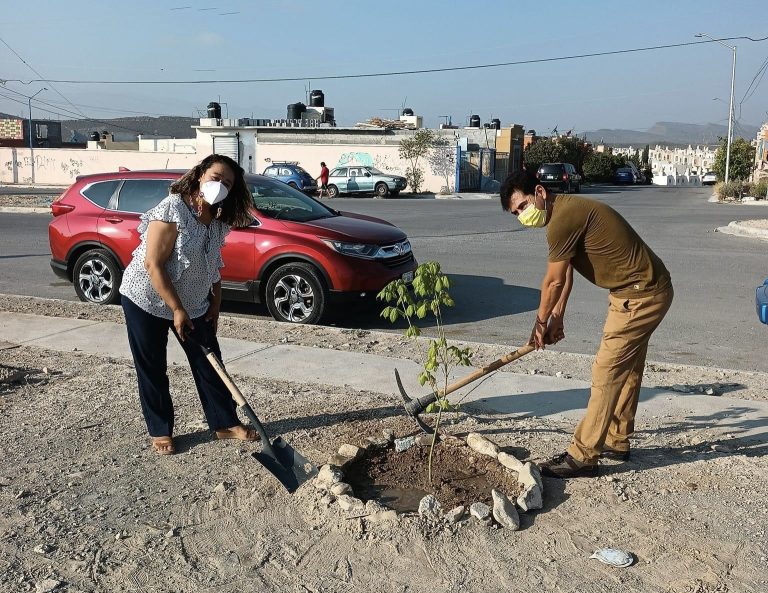 Suman esfuerzos para reforestar áreas verdes de primaria en Parajes Del Valle